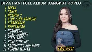 TABAH - SABAR - NGAMEN 3 - DIVA HANI FULL ALBUM TERBARU DANGDUT KOPLO 2025