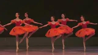 НУТИ  Коледен концерт - Софийска опера и Балет 01.12.2025 - Фрагмент от балета 