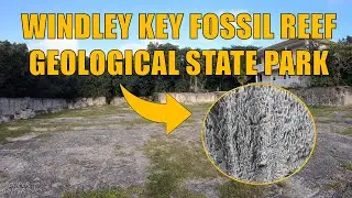Windley Key Fossil Reef Geological State Park in Islamorada, Florida Keys