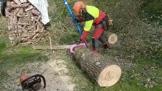 Stamm drehen vor Durchtrennen der Abschnitte -  Wald-Arbeit-Sicherheit.de
