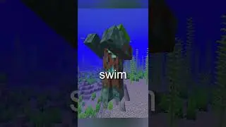 What Is The Conduit In Minecraft?