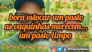 bora destocar um pasto as vaquinhas merecem um lugar limpo para se alimentar #capiaudosul #pecuaria