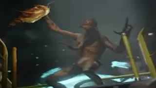 sustenance.mp4