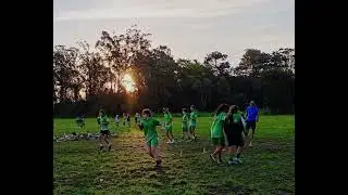 Vikingas
