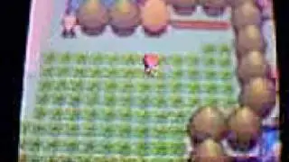 Pokemon Diamond/Pearl how to get Ditto