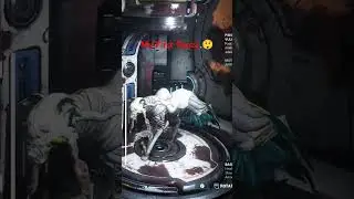 Are Panza's The Best Warframe Companion 😲