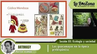 Las guacamayas en la época prehispánica - Batimasy