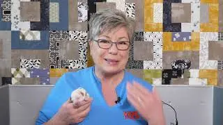 Meet just born mini labradoodle puppies Youtube video