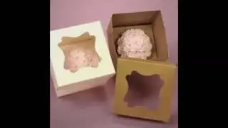 Individual Cupcake Boxes