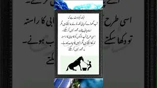 Kaamyabi Par Majboor Karna #ytshort #ytshorts #viralvideo #urduquotes #sadpoetry #trending #shorts