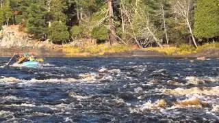 Why is the St. Louis River Rootbeer Colored?