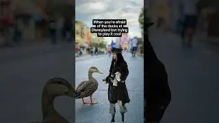 When you&rsquo;re trying to act brave but the Disneyland ducks have main character energy🫣🦆 #disneyland