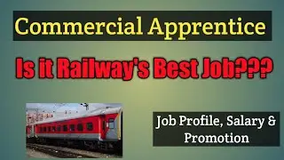 Commercial apprentice, Training, Job Profile, Salary, Promotion