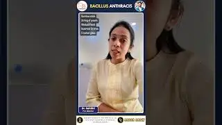 Многие ли из вас знают о Bacillus Anthracis | NEET MDS | @mdsconquer-inbdeconquer