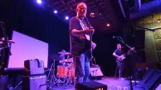 The mad starlings 