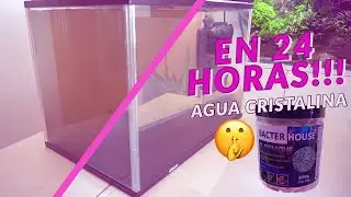 CÓMO ELIMINAR NITRATOS Y TANINOS RÁPIDAMENTE DEL ACUARIO