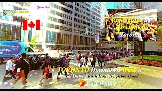 🚶TORONTO Downtown W 🍂 Financial District Rush Hour Neighbourhood 🍁 Fall Walks #TOfalls #DowntownLife