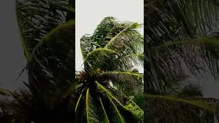 Helene Strikes Florida with Category 4 Fury!