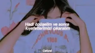 Lorde - Perfect Places  (Türkçe Çeviri)