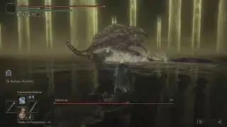 ELDEN RING NG+5 DMC Vergil vs Radagon+Eldenbeast