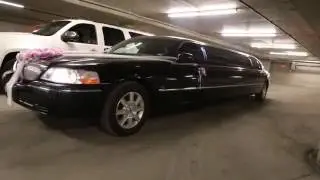 Calgary Limo | Luxurious Fleet for Calgary Limo Services | Quest Limos | View Our Limos