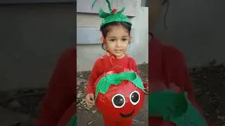 First prize winning- Fruits and Vegetables day fancy dress competition - Tomato Costume