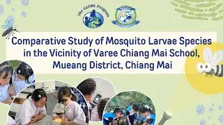 Comparative Study of Mosquito Larvae Species in Varee Chiangmai School