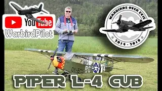 Balsa USA L-4 Grasshopper at Warbirds over Evje 2019