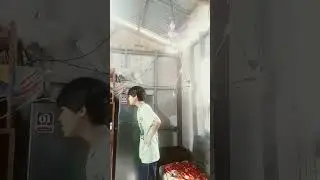 oioi