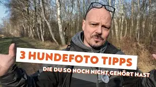 3Tipps zur Hundefotografie, die Du so vielleicht noch nicht gehört hast