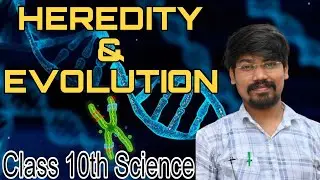 Наследственность и эволюция 🔥 10 класс, наука | Материалы NCERT, Ануп Раджпут