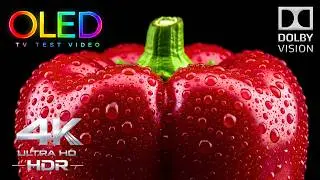 Real OLED Colors You Can Actually See | 4K HDR 60FPS Dolby Vision OLED Demo (4K Video TV)