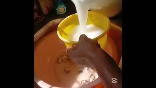 Washing Snails Made Easy.
