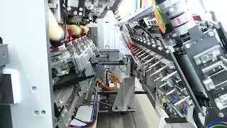 Borghi brush making machine - STARGATE