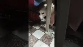 Ruby ko aaj maa se daat pdi to dekho##