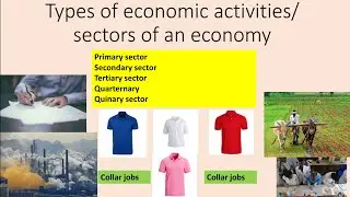 Sectors Of Economy| TYPES OF ECONOMIC ACTIVITIES | COLLAR JOBS