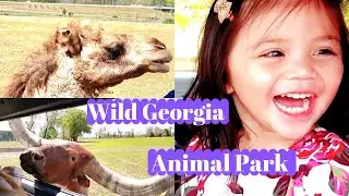 WILD GEORGIA ANIMAL PARK( MOSLEY'S WORLD FAMOUS ANIMAL EXIT FARM)