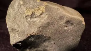 The Sylacauga (Hodges) Meteorite: An Interview with Dr. Julia Cartwright