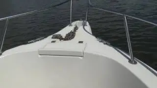 2004 230 Robalo