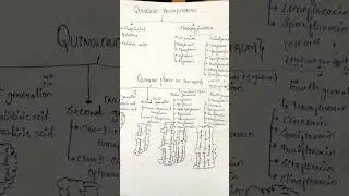 SULPHONAMIDES,COTRIMOXAZOLE AND QUINOLONE NOTES #pharmacologynotes #pharmacologystudyguide