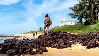 PRAIA DOS CASTELHANOS uma das melhores praias de Anchieta - Esp&iacute;rito Santo