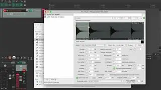 Basic Sampling in Reaper
