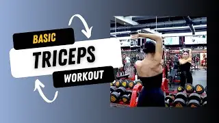 Triceps  Basic | Weekly Split Workout
