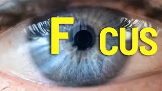 The Best FOCUS Stategies You MUST Know