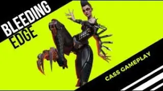 30 MINUTE QUEUE/Bleeding Edge Cass Gameplay