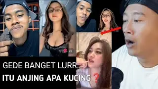 ITU ANJING APA KUCING❓ #masiyun #sobatngarit 