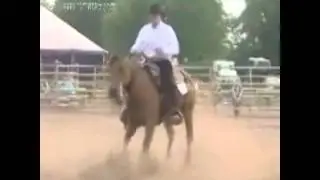 horse running in circles.flv
