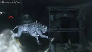 Poisoning orcs and not trusting Mr  Wraith