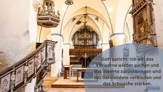 November2025/ Ez 34,16/ Evangelische Kirchengemeinde Gardelegen