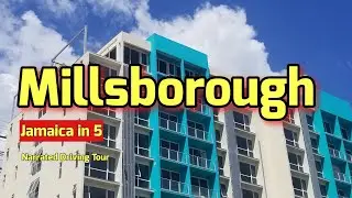 Millsborough | Jamaica